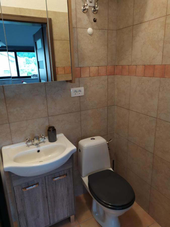 Hotel Gostilna Ulcar à Ig Extérieur photo